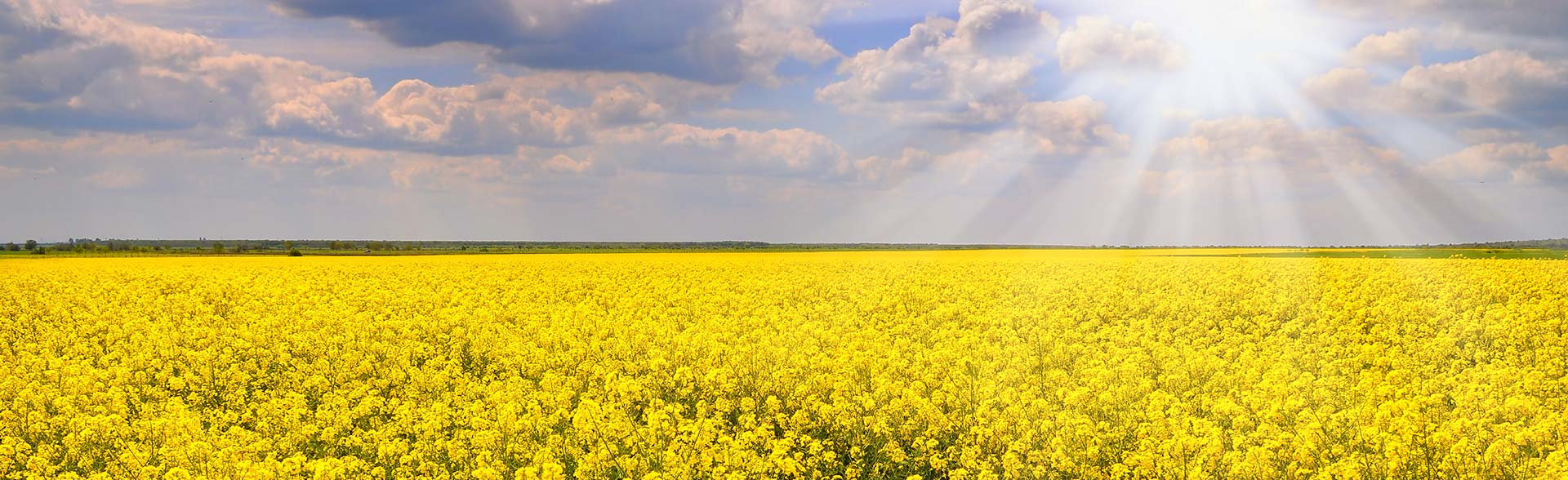 Raps Lörzweiler Slider